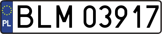 BLM03917