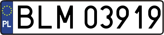 BLM03919