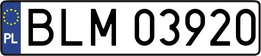 BLM03920