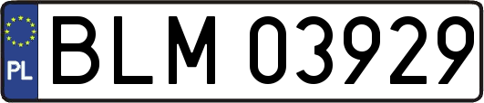 BLM03929