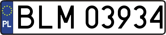 BLM03934
