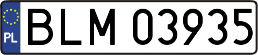 BLM03935
