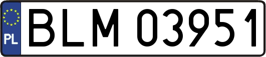 BLM03951