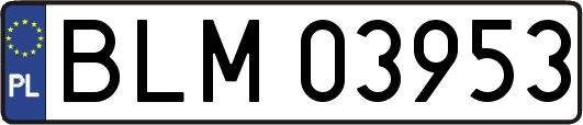 BLM03953