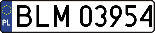 BLM03954