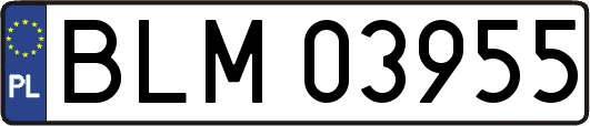 BLM03955
