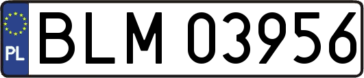 BLM03956