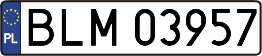 BLM03957