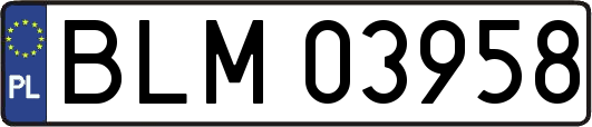 BLM03958