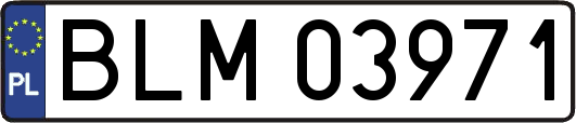 BLM03971