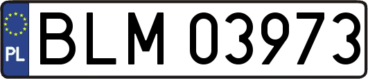 BLM03973