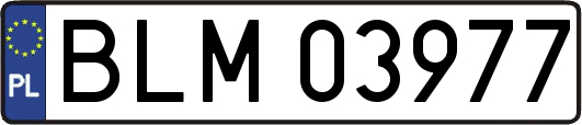BLM03977