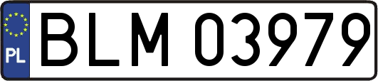 BLM03979
