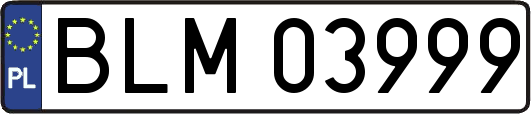 BLM03999