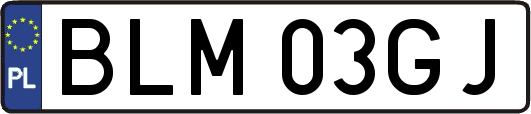 BLM03GJ