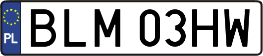 BLM03HW