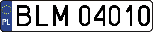 BLM04010