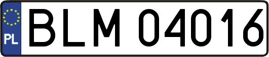 BLM04016