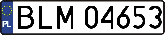 BLM04653