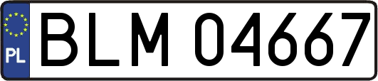 BLM04667