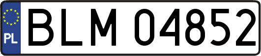 BLM04852