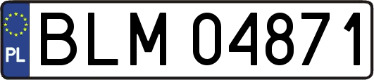 BLM04871