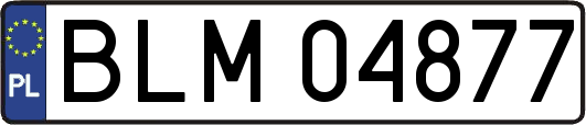 BLM04877