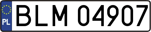 BLM04907