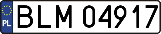 BLM04917