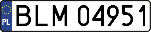 BLM04951