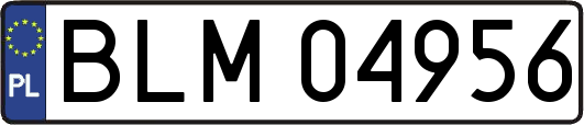 BLM04956