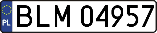 BLM04957