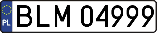 BLM04999