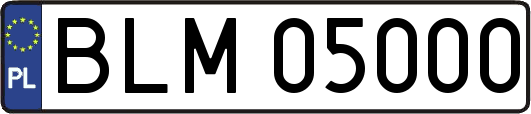 BLM05000