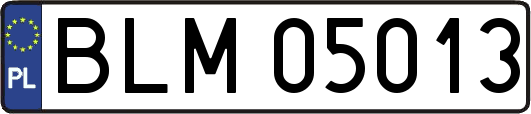 BLM05013