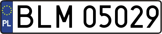 BLM05029