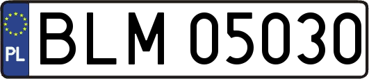 BLM05030