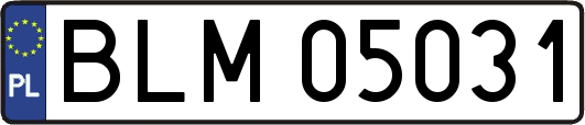 BLM05031