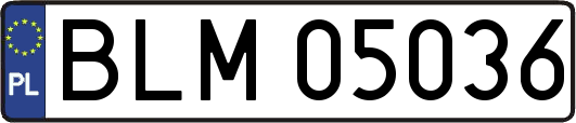 BLM05036