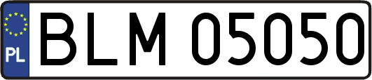 BLM05050