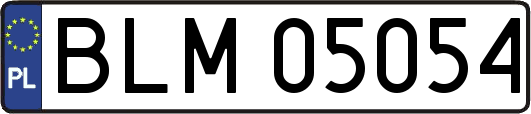 BLM05054