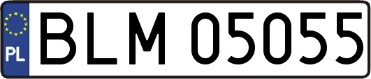 BLM05055