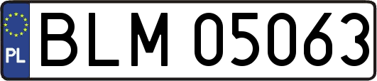BLM05063