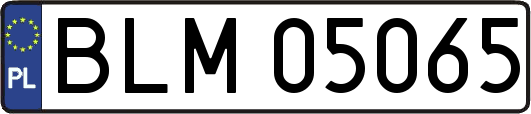 BLM05065