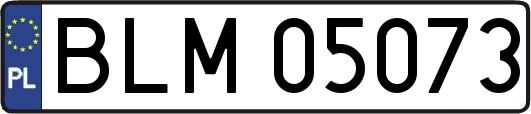 BLM05073