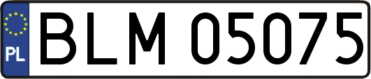 BLM05075