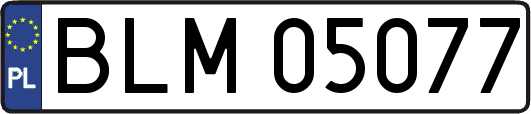 BLM05077