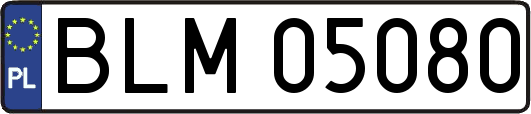 BLM05080