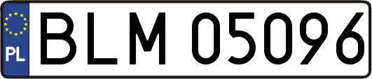 BLM05096