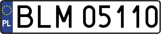BLM05110